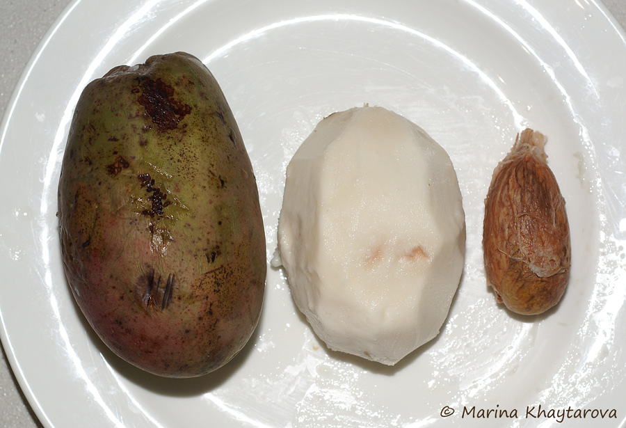 jack ، binjai  ، wani  ، yaa-lam  ، bayuno 